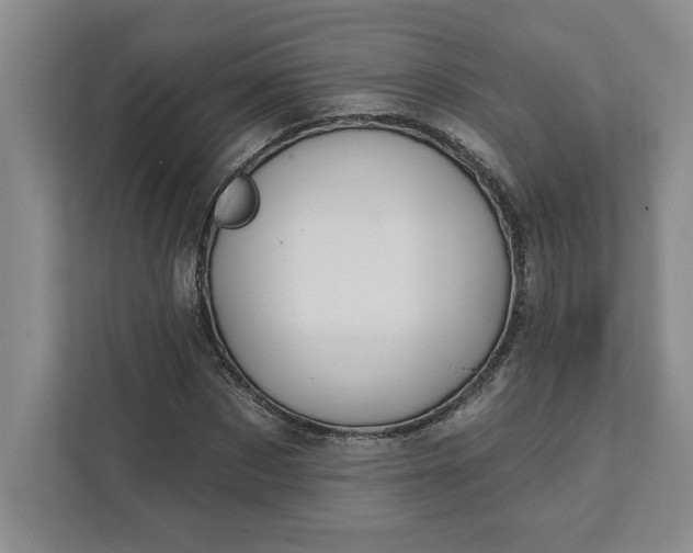 X0000111820873200908061133