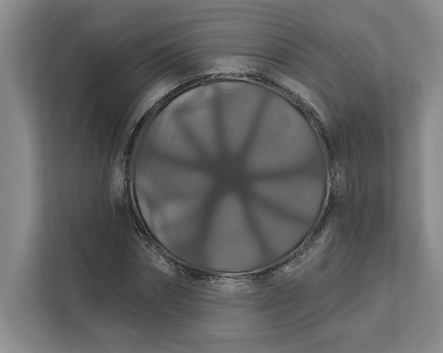 X0000111820874200908061133