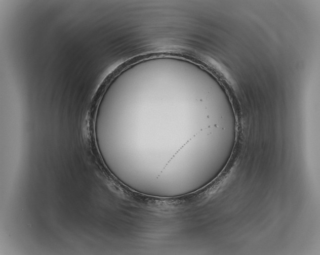 X0000111820875200908061133