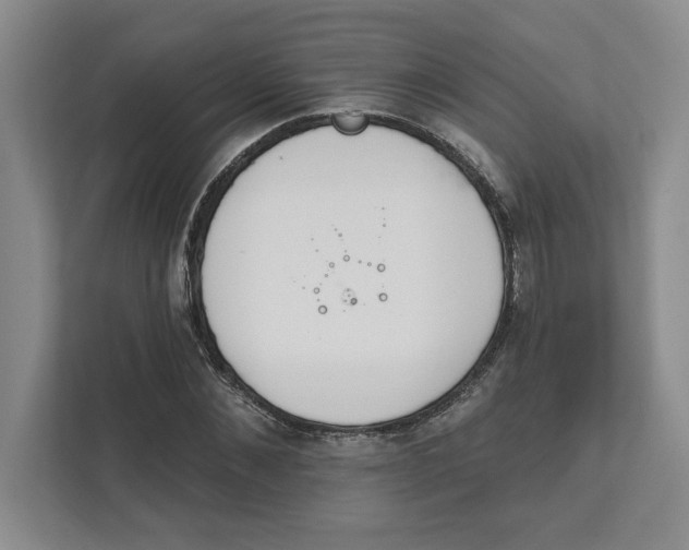 X0000111820876200908061133