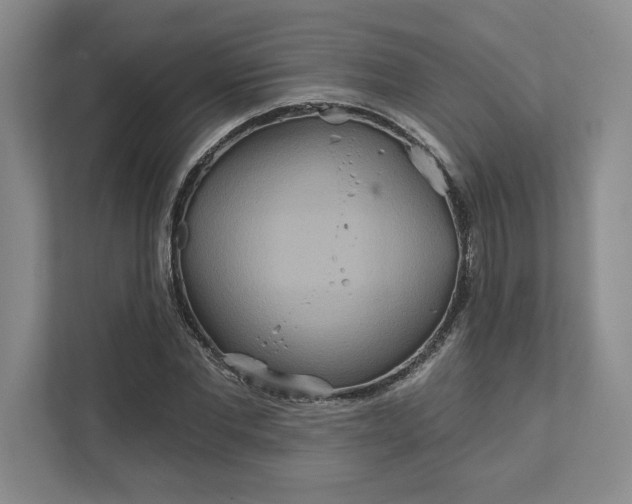 X0000111820877200908061133