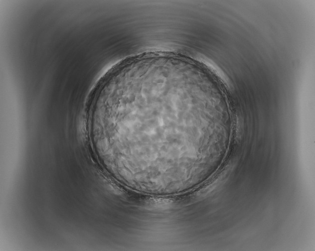 X0000111820878200908061133