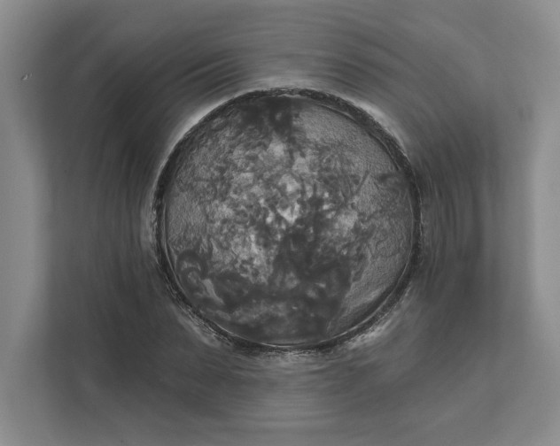 X0000111820879200908061133