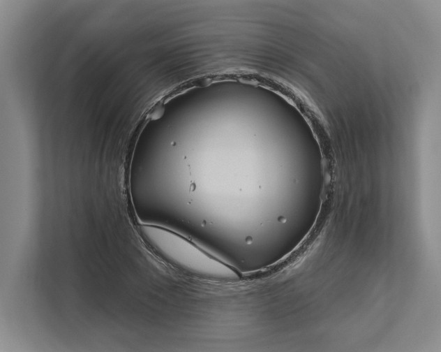 X0000111820881200908061133