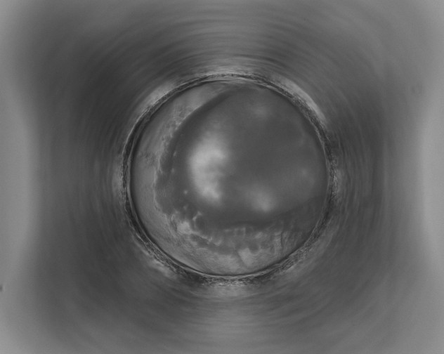 X0000111820882200908061133