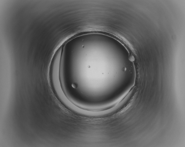 X0000111820885200908061133