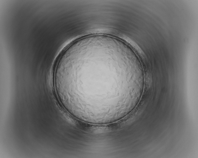 X0000111820886200908061133