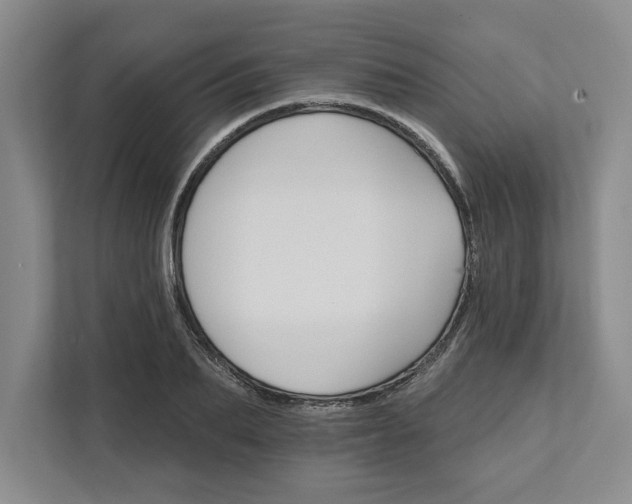 X0000111820887200908061133