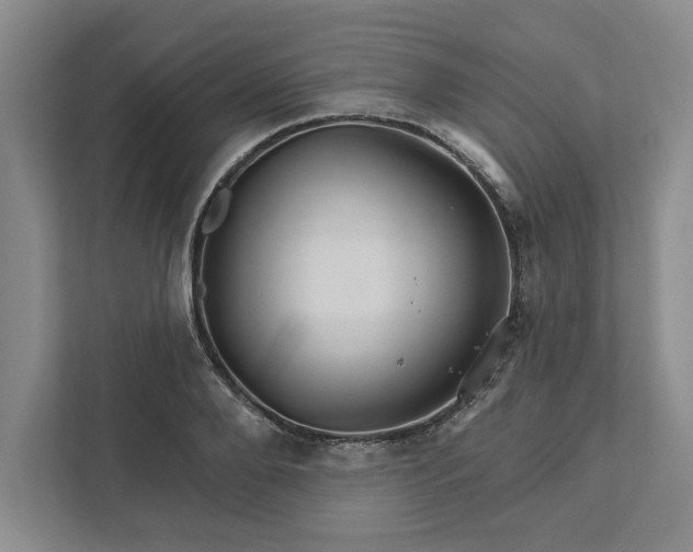 X0000111820888200908061133