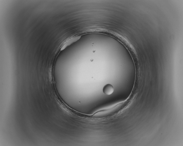 X0000111820889200908061133