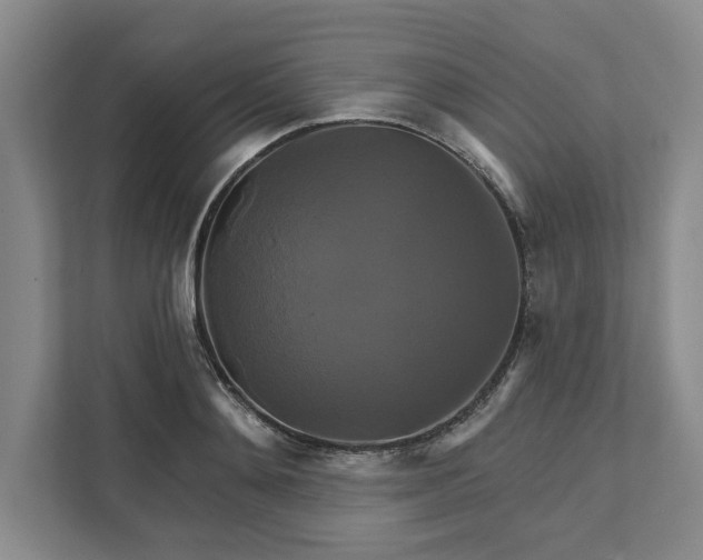 X0000111820892200908061133