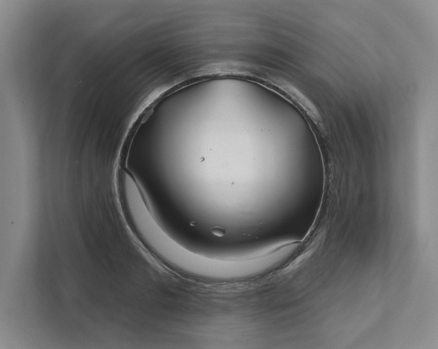 X0000111820893200908061133