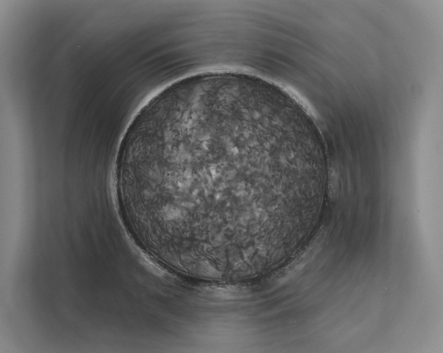 X0000111820895200908061133