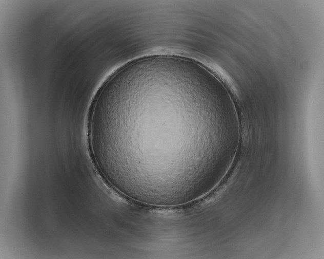 X0000111820896200908061133