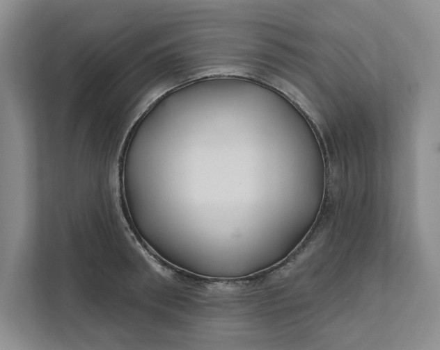 X0000111820898200908061133