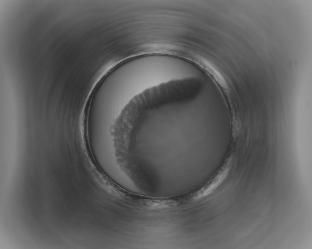 X0000111820899200908061133