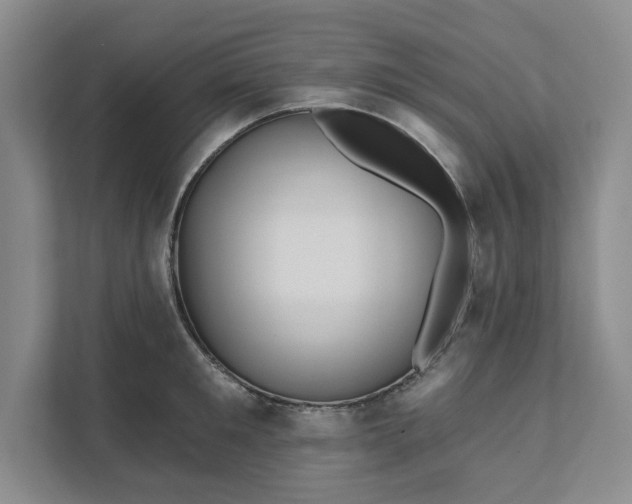 X0000111820901200908061133