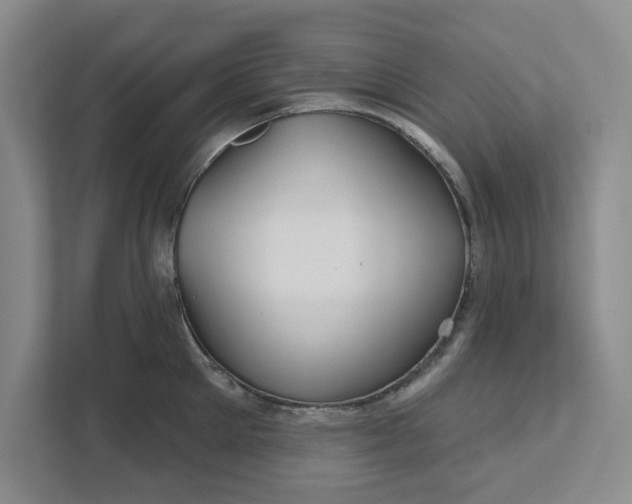 X0000111820905200908061133