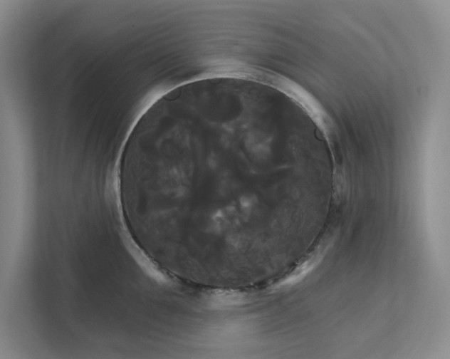 X0000111820907200908061133