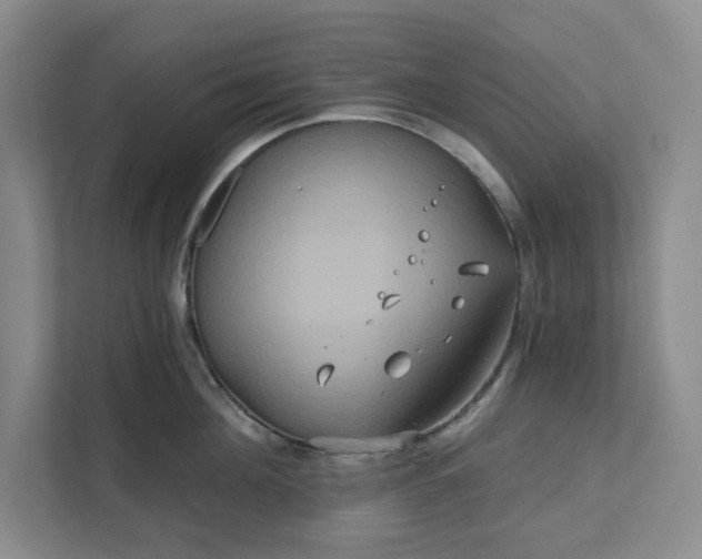 X0000111820908200908061133