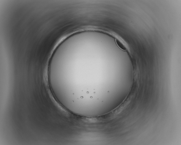 X0000111820911200908061133