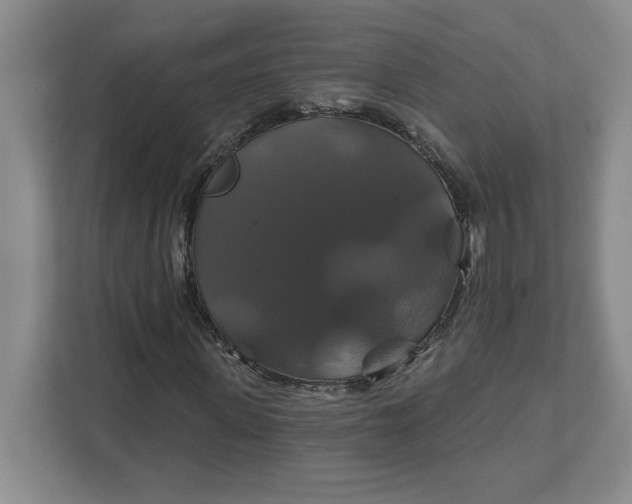 X0000111820915200908061132