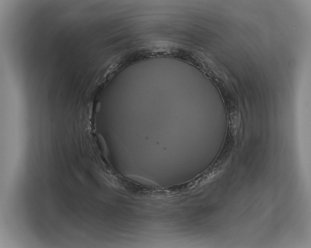 X0000111820916200908061132