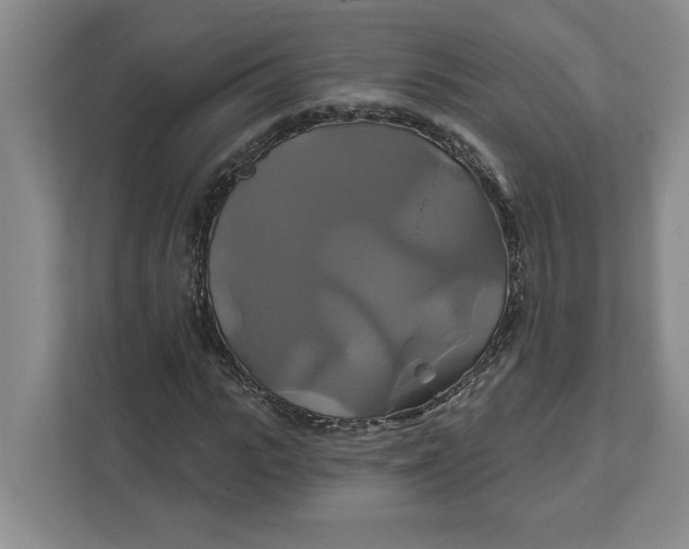 X0000111820919200908061132