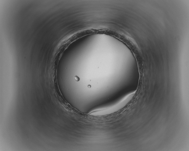 X0000111820920200908061132