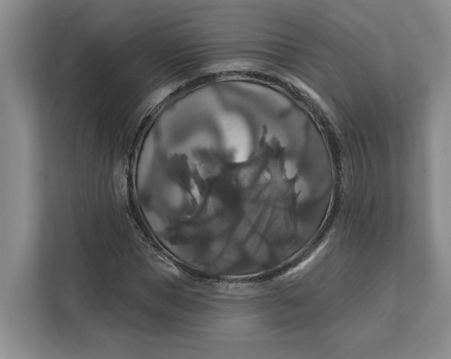 X0000111820921200908061132