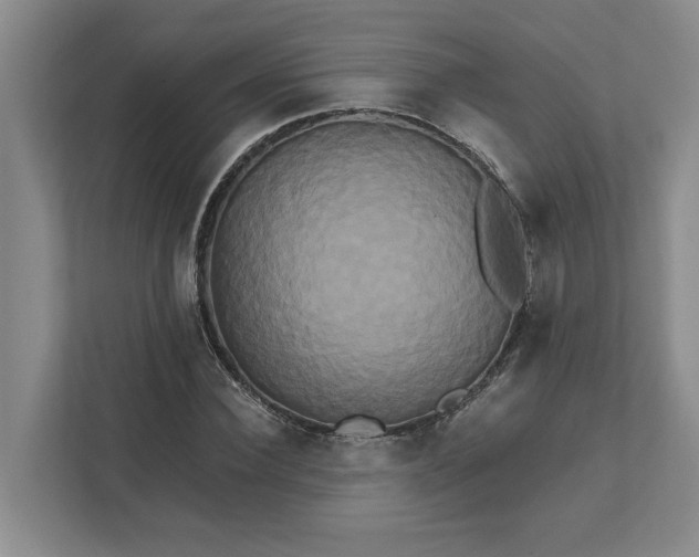 X0000111820924200908061132