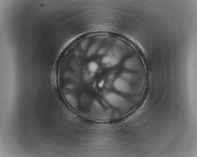 X0000111820925200908061132