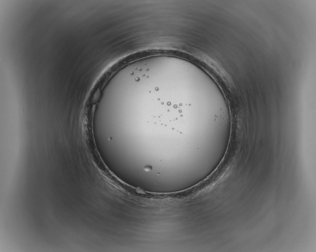 X0000111820926200908061132