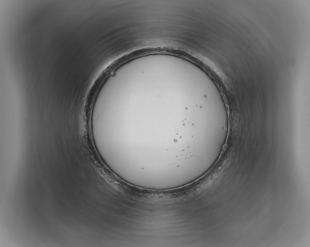 X0000111820927200908061132