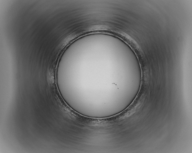 X0000111820929200908061132