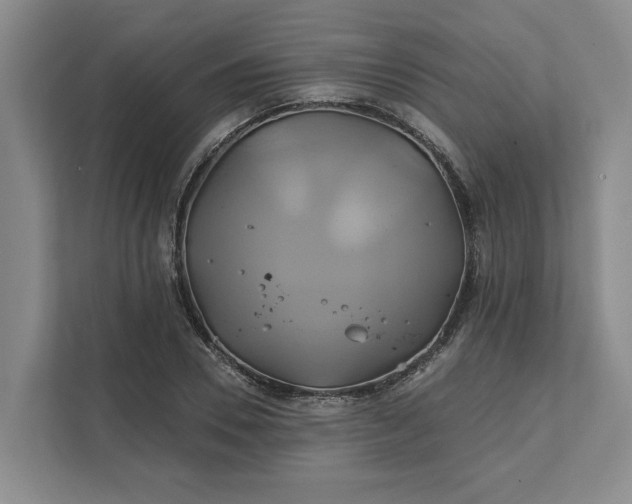 X0000111820930200908061132