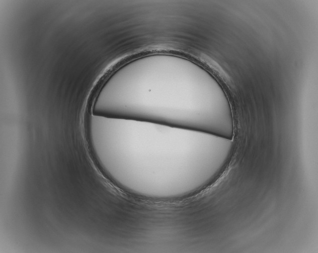 X0000111820934200908061132