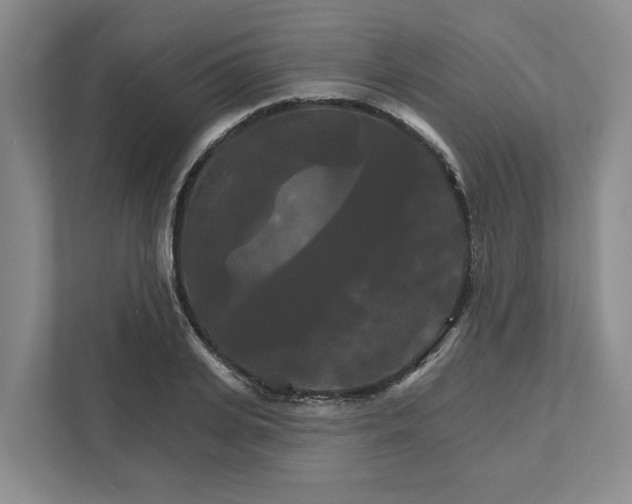 X0000111820935200908061132