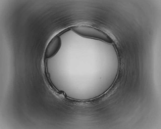 X0000111820936200908061132