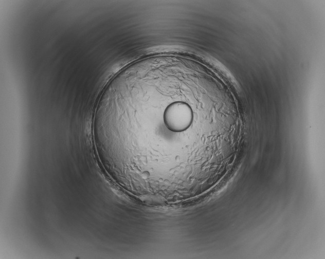 X0000111820937200908061132