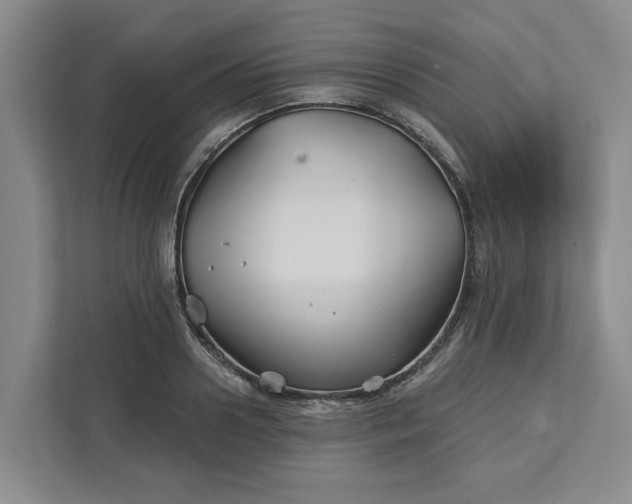 X0000111820938200908061132