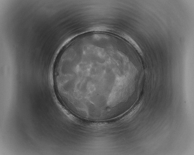 X0000111820939200908061132