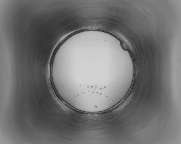 X0000111820940200908061132