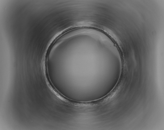 X0000111820941200908061133