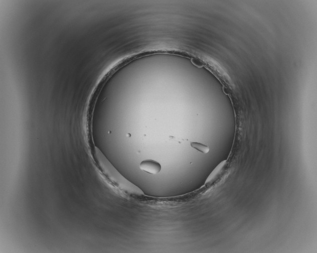 X0000111820942200908061133