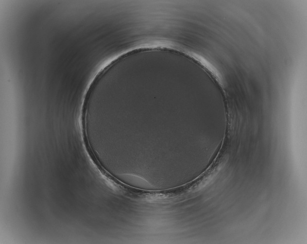 X0000111820943200908061133