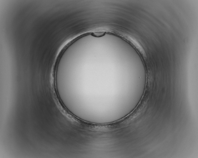 X0000111820944200908061133