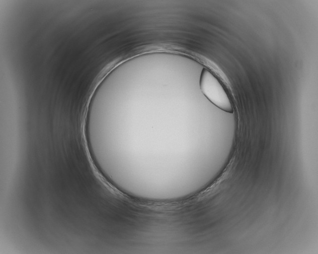 X0000111820946200908061133