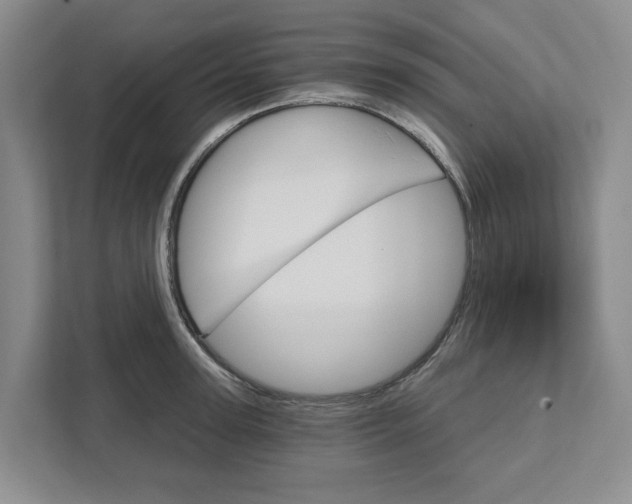 X0000111820947200908061133