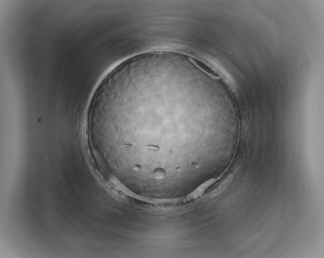 X0000111820948200908061133